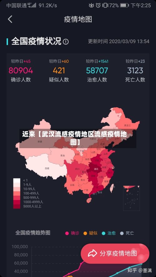 近来【武汉流感疫情地区流感疫情地图】-第2张图片