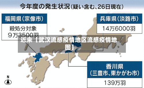 近来【武汉流感疫情地区流感疫情地图】-第3张图片