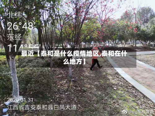 最近【泰和是什么疫情地区,泰和在什么地方】-第2张图片