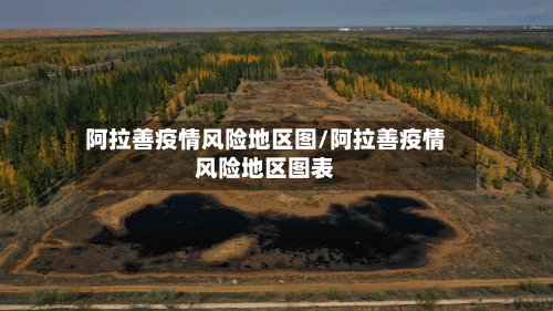 阿拉善疫情风险地区图/阿拉善疫情风险地区图表-第3张图片