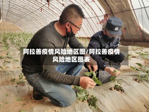 阿拉善疫情风险地区图/阿拉善疫情风险地区图表