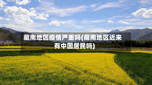 藏南地区疫情严重吗(藏南地区近来有中国居民吗)