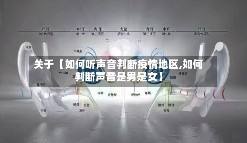 关于【如何听声音判断疫情地区,如何判断声音是男是女】-第3张图片