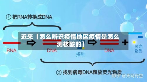 近来【怎么辨识疫情地区疫情是怎么测核酸的】