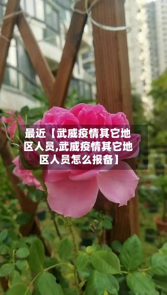 最近【武威疫情其它地区人员,武威疫情其它地区人员怎么报备】-第3张图片