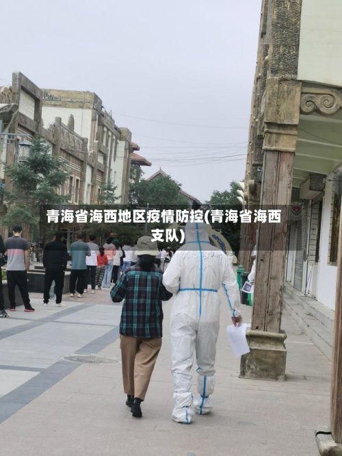 青海省海西地区疫情防控(青海省海西支队)-第2张图片