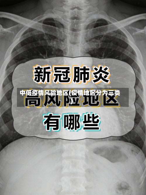中低疫情风险地区(疫情地区分为三类)
