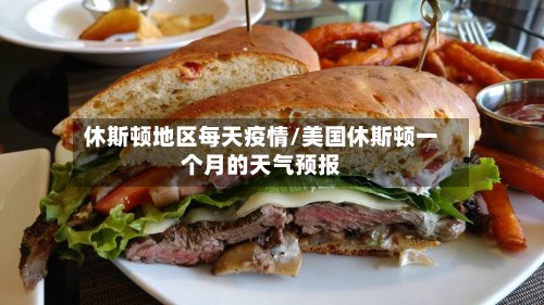 休斯顿地区每天疫情/美国休斯顿一个月的天气预报