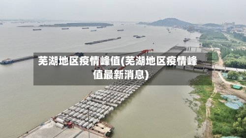芜湖地区疫情峰值(芜湖地区疫情峰值最新消息)-第3张图片
