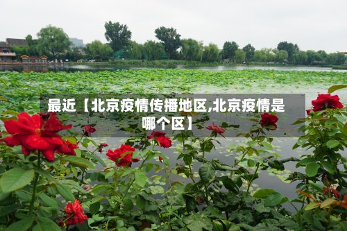 最近【北京疫情传播地区,北京疫情是哪个区】-第3张图片