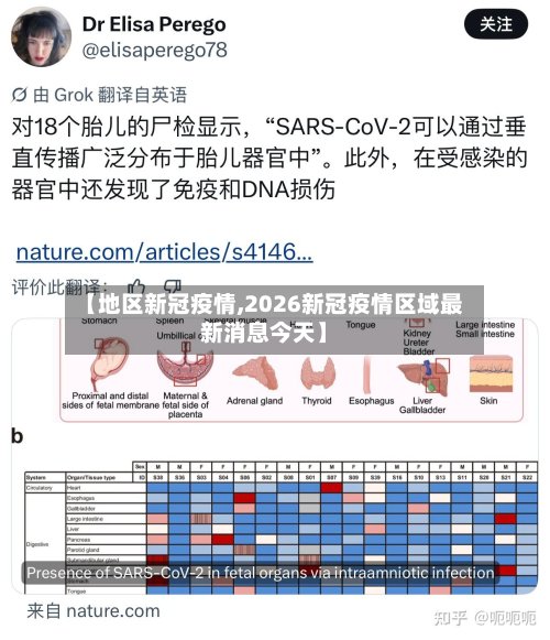 【地区新冠疫情,2026新冠疫情区域最新消息今天】