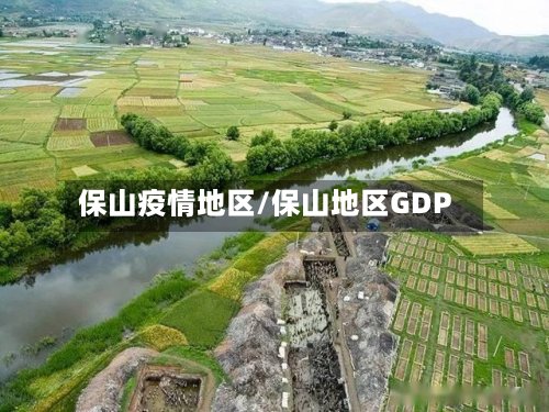 保山疫情地区/保山地区GDP
