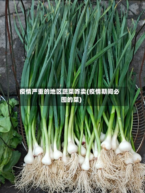 疫情严重的地区蔬菜咋卖(疫情期间必囤的菜)-第2张图片