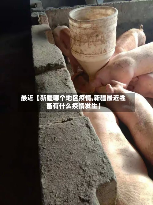 最近【新疆哪个地区疫情,新疆最近牲畜有什么疫情发生】-第3张图片