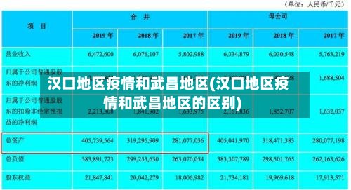汉口地区疫情和武昌地区(汉口地区疫情和武昌地区的区别)