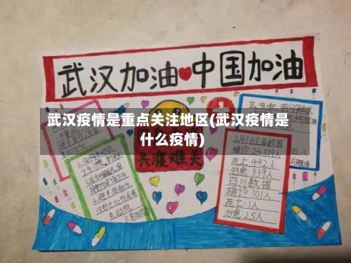 武汉疫情是重点关注地区(武汉疫情是什么疫情)