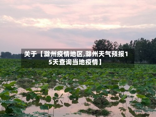 关于【滁州疫情地区,滁州天气预报15天查询当地疫情】-第2张图片