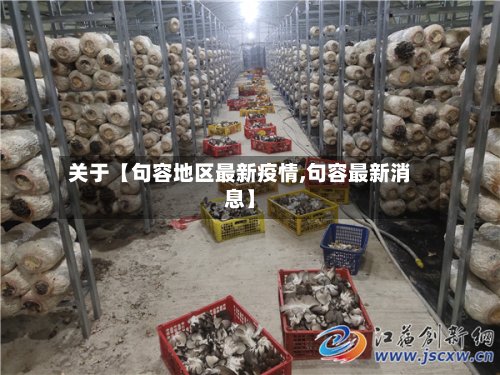 关于【句容地区最新疫情,句容最新消息】-第3张图片