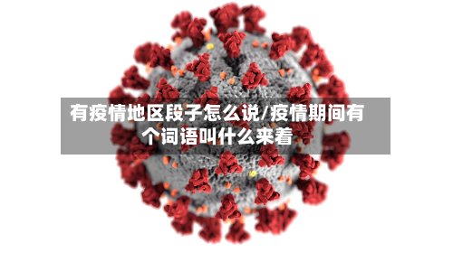 有疫情地区段子怎么说/疫情期间有个词语叫什么来着