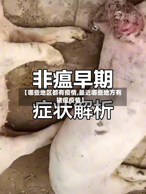 【哪些地区都有疫情,最近哪些地方有猪瘟疫情】-第2张图片