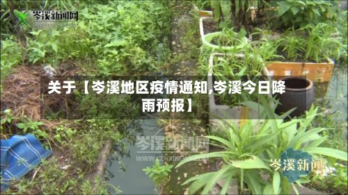 关于【岑溪地区疫情通知,岑溪今日降雨预报】
