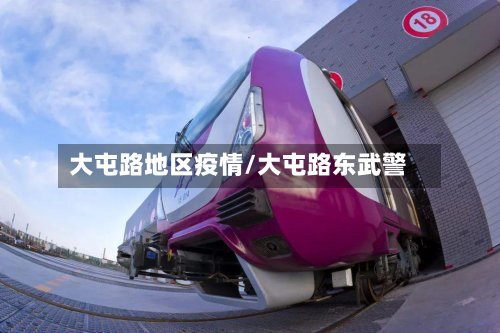 大屯路地区疫情/大屯路东武警