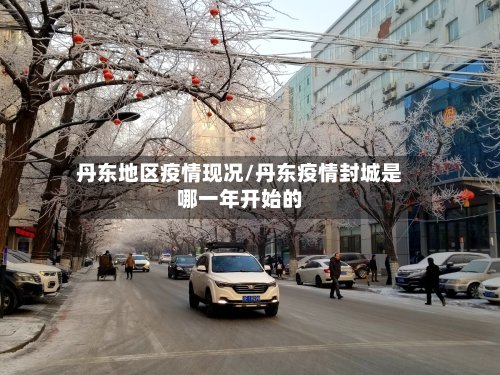 丹东地区疫情现况/丹东疫情封城是哪一年开始的-第2张图片