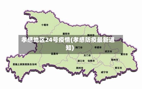 孝感地区24号疫情(孝感防疫最新通知)-第3张图片