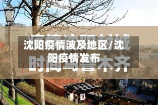 沈阳疫情波及地区/沈阳疫情发布-第2张图片