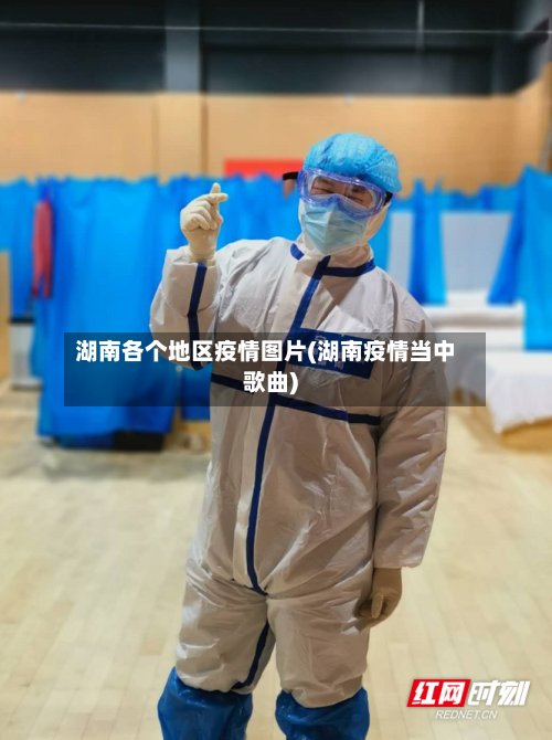 湖南各个地区疫情图片(湖南疫情当中歌曲)-第3张图片