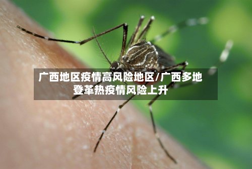 广西地区疫情高风险地区/广西多地登革热疫情风险上升