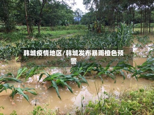 韩城疫情地区/韩城发布暴雨橙色预警-第2张图片