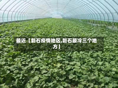 最近【磐石疫情地区,磐石最冷三个地方】