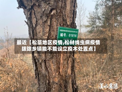最近【松藁地区疫情,松材线虫病疫情拔除乡镇能不能设立疫木处置点】-第3张图片