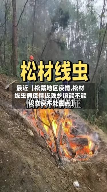 最近【松藁地区疫情,松材线虫病疫情拔除乡镇能不能设立疫木处置点】