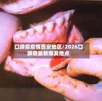 口蹄疫疫情西安地区/2026口蹄疫最新爆发地点-第2张图片