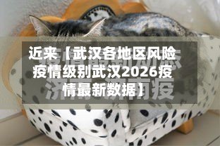 近来【武汉各地区风险疫情级别武汉2026疫情最新数据】-第2张图片