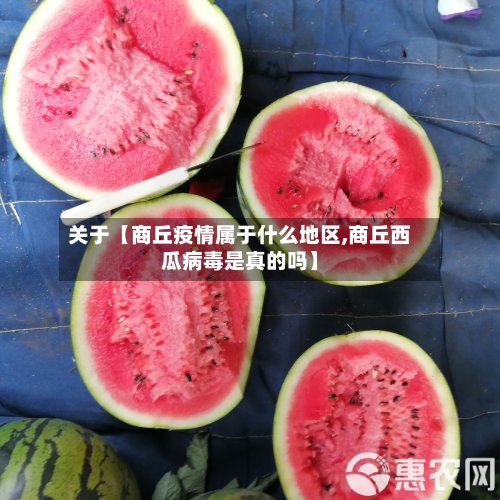 关于【商丘疫情属于什么地区,商丘西瓜病毒是真的吗】