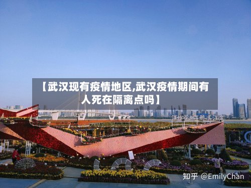 【武汉现有疫情地区,武汉疫情期间有人死在隔离点吗】