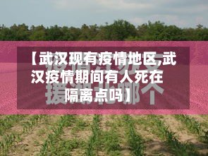 【武汉现有疫情地区,武汉疫情期间有人死在隔离点吗】-第3张图片