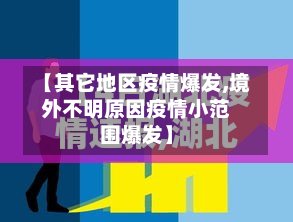 【其它地区疫情爆发,境外不明原因疫情小范围爆发】