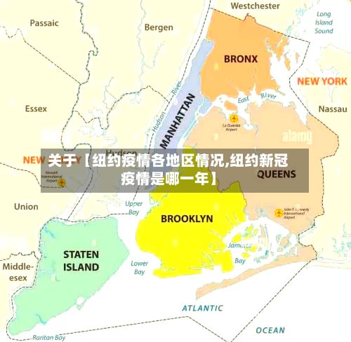 关于【纽约疫情各地区情况,纽约新冠疫情是哪一年】-第2张图片