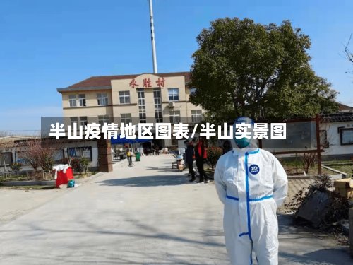 半山疫情地区图表/半山实景图