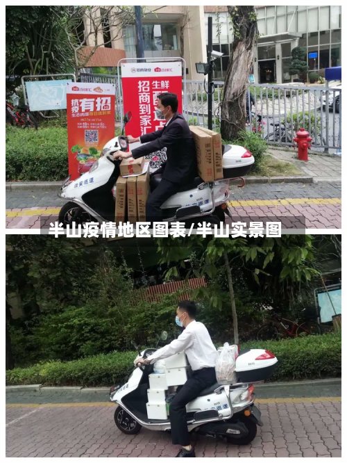 半山疫情地区图表/半山实景图-第2张图片