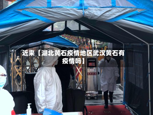 近来【湖北黄石疫情地区武汉黄石有疫情吗】-第2张图片