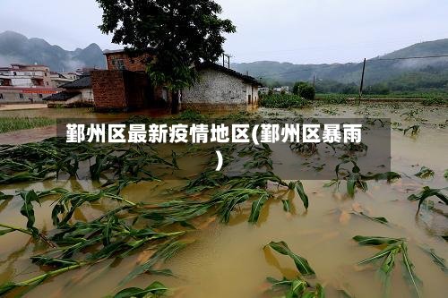 鄞州区最新疫情地区(鄞州区暴雨)