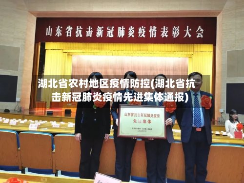 湖北省农村地区疫情防控(湖北省抗击新冠肺炎疫情先进集体通报)