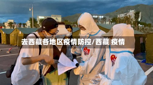 去西藏各地区疫情防控/西藏 疫情