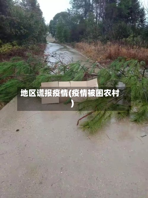 地区谎报疫情(疫情被困农村)