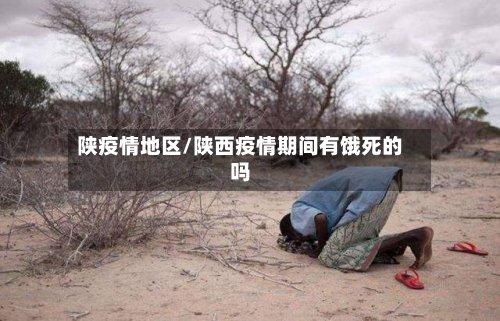 陕疫情地区/陕西疫情期间有饿死的吗